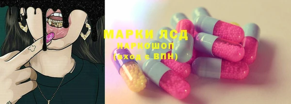 крисы Богородицк