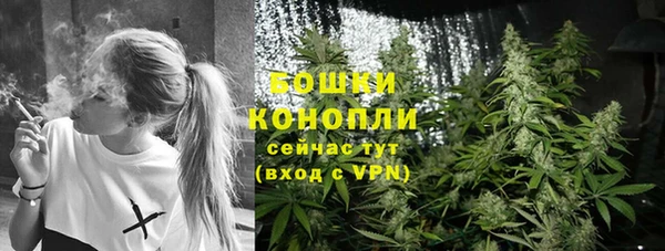крисы Богородицк
