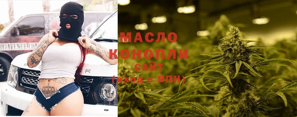 крисы Богородицк