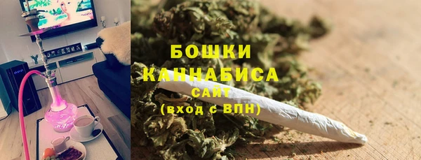 крисы Богородицк