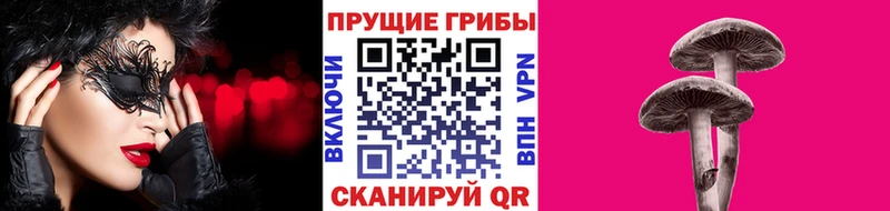 Псилоцибиновые грибы мицелий  Купить закладки  Буйнакск 
