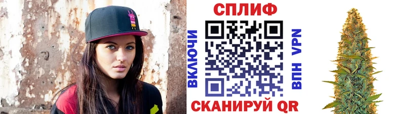 Купить закладки  Буйнакск  Конопля сатива 